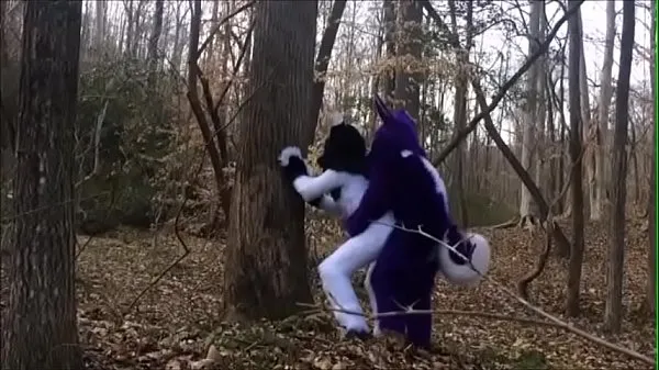بڑے Fursuit Couple Mating in Woods بہترین کلپس