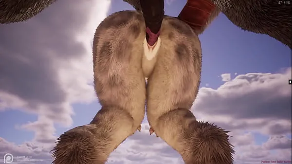 بڑے Wild Life Furry Hentai بہترین کلپس